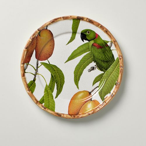 Prato Raso Parrots c