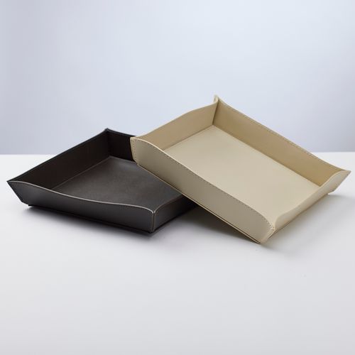 Tray Point Microscope Slides