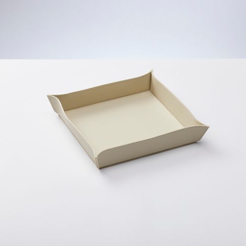 Tray Point Microscope Slides