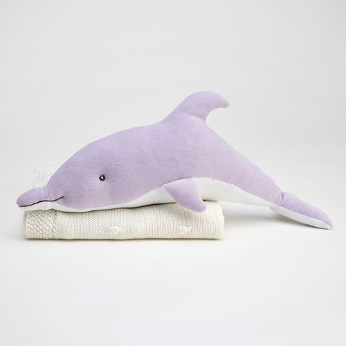 Dolphin