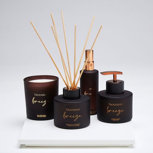 Breeze Air Freshener with Sticks 240ml