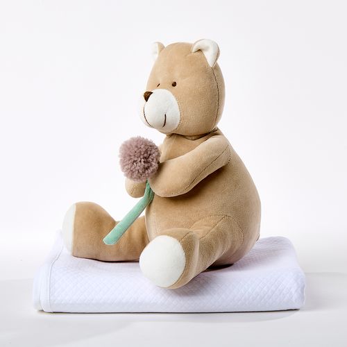 Ursinho Brown Bear