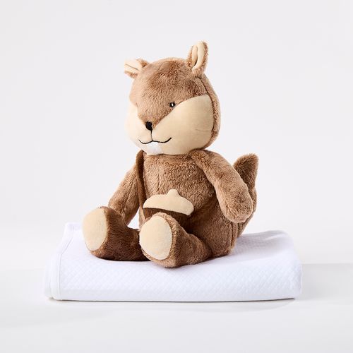 Squirrel